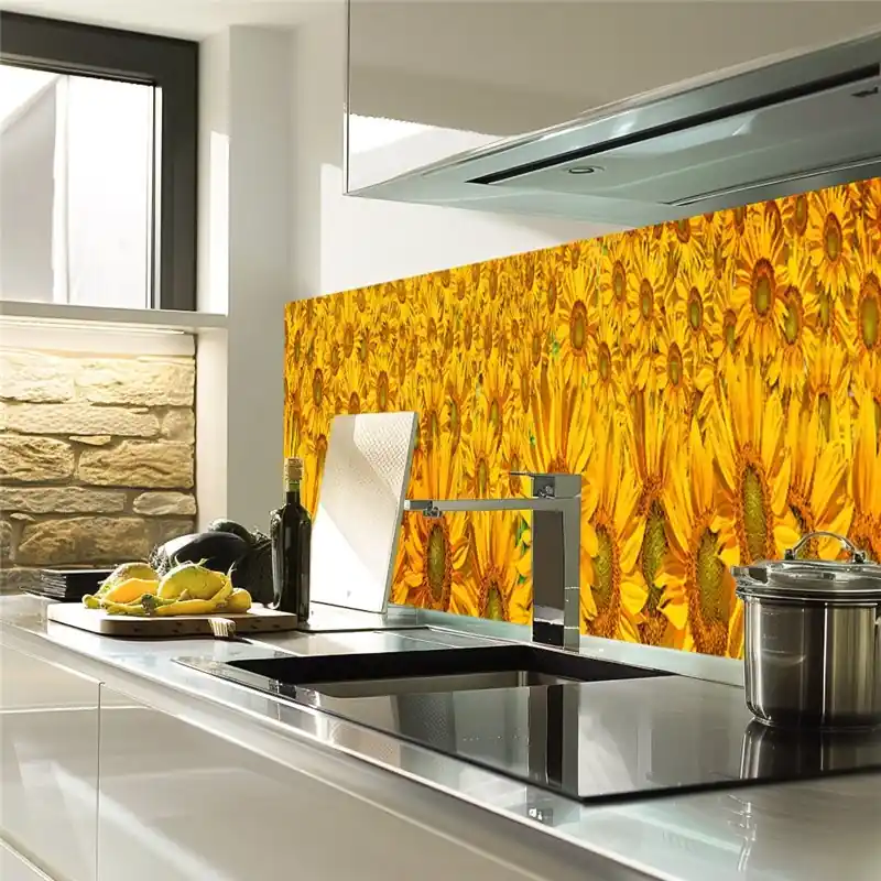 Markenprodukt Glas Küchenrückwand 6 mm ESG Motive KRWM-0945