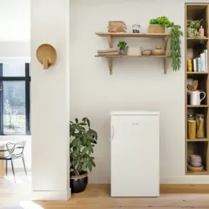 gorenje Kühlschrank R492PW Billig