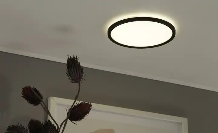 LED-Deckenleuchte Zertifiziert