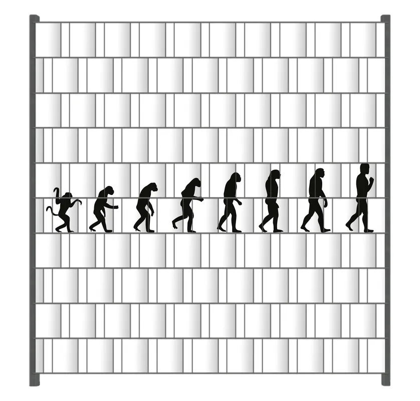 Zaunsichtschutz Evolution - Die Entwicklung des Menschen Breite 200 cm x Höhe 140 cm Saisonangebot