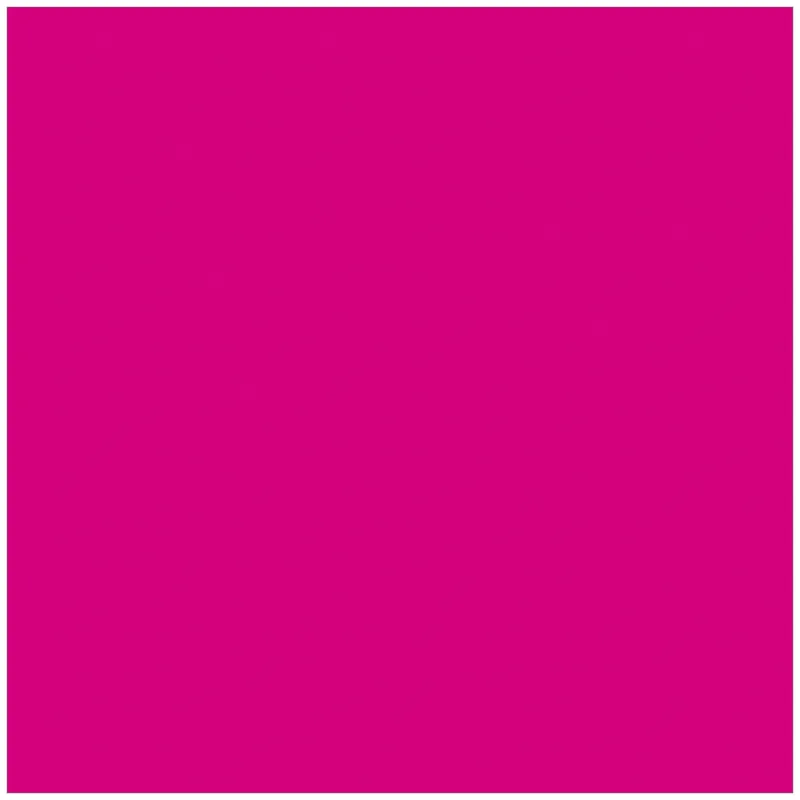 Nur Heute Wandbild aus Acryl Pink 80cm x 200cm
