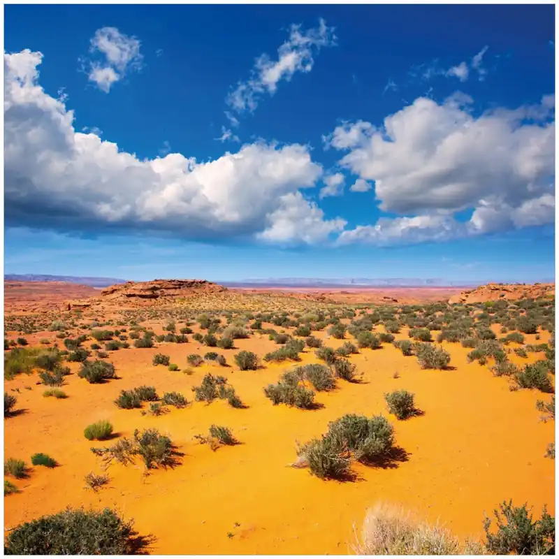 Jetzt Bestellen Glasbild Wüste in Arizona - blauer Himmel mit Wolken I 50 x 50 cm