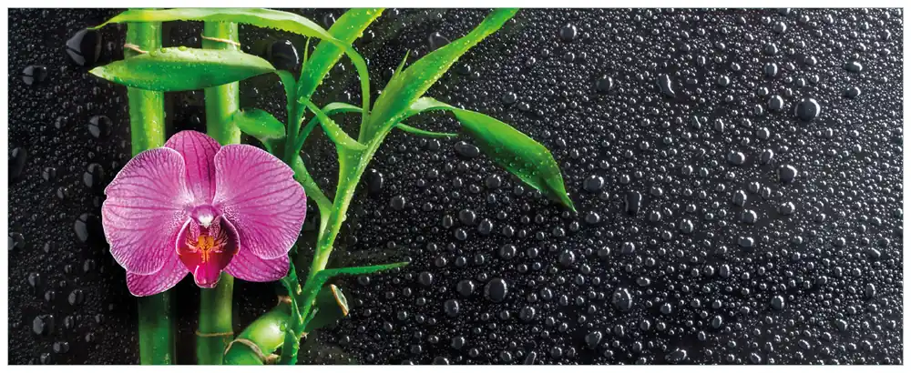 Rabatt Glasbild Bambus und pinke Orchidee auf schwarzem Glas mit Regentropfen 32 x 80 cm