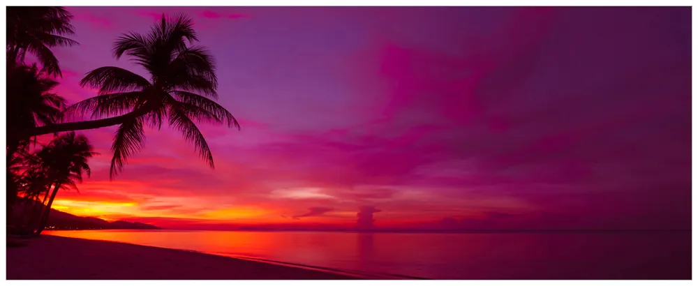 Glasbild Abendrot unter Palmen - pinker Himmel am Strand 30 x 30 cm Nur Heute