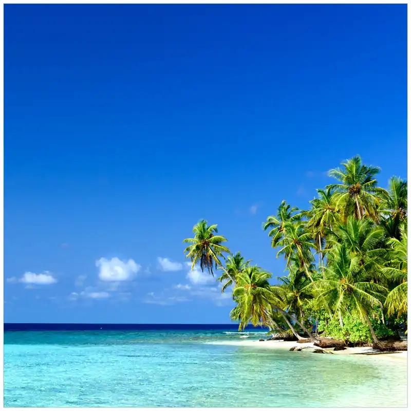 Glasbild Blauer Himmel weißer Strand Palmen und das tiefblaue Meer 32 x 80 cm Neu