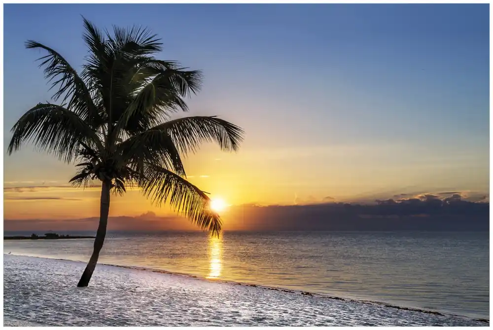 Glasbild Palme am Strand - Sonnenuntergang über dem Meer 70 x 100 cm Mega-Angebot