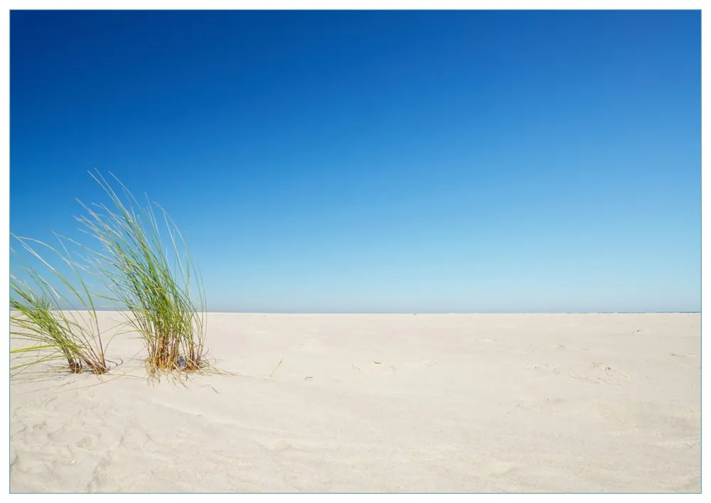 Glasbild Sandstrand unter blauem Himmel 50 x 50 cm Top-Angebot