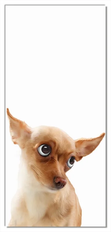 Preiswert Selbstklebende Türtapete Lustiger Hund mit fliegenden Ohren selbstklebende Folie mit Schutzlaminat, 100 x 220 cm