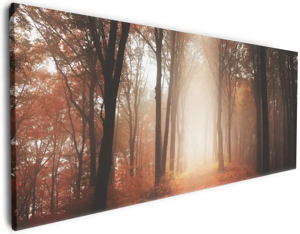 Aktuell Leinwandbild Herbstwald - Weg zu einer Lichtung im Wald 60 x 90 cm