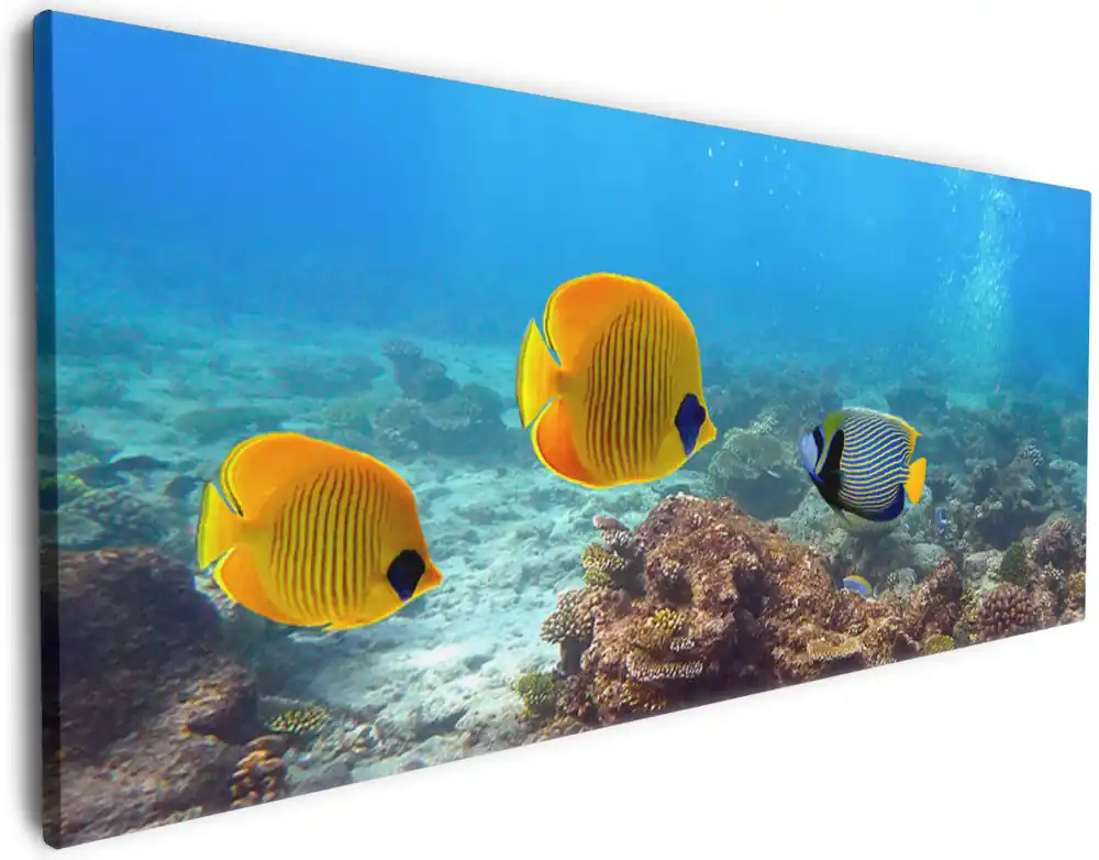 Leinwandbild Bunte Fische im Meer 60 x 150 cm Begrenztes Angebot