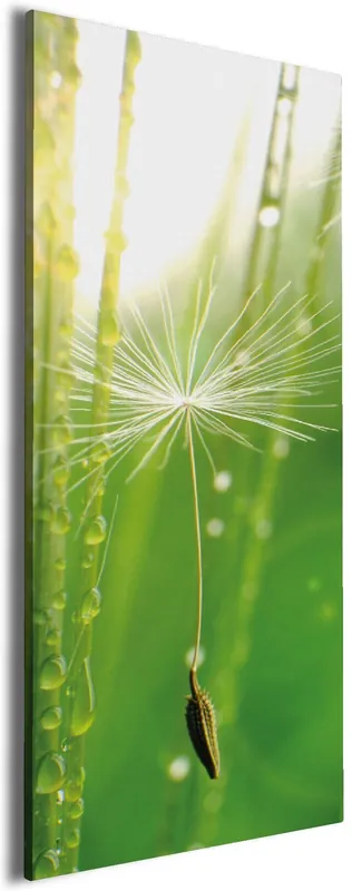 Preisreduziert Leinwandbild Pusteblume Nahaufnahme 30 x 75 cm