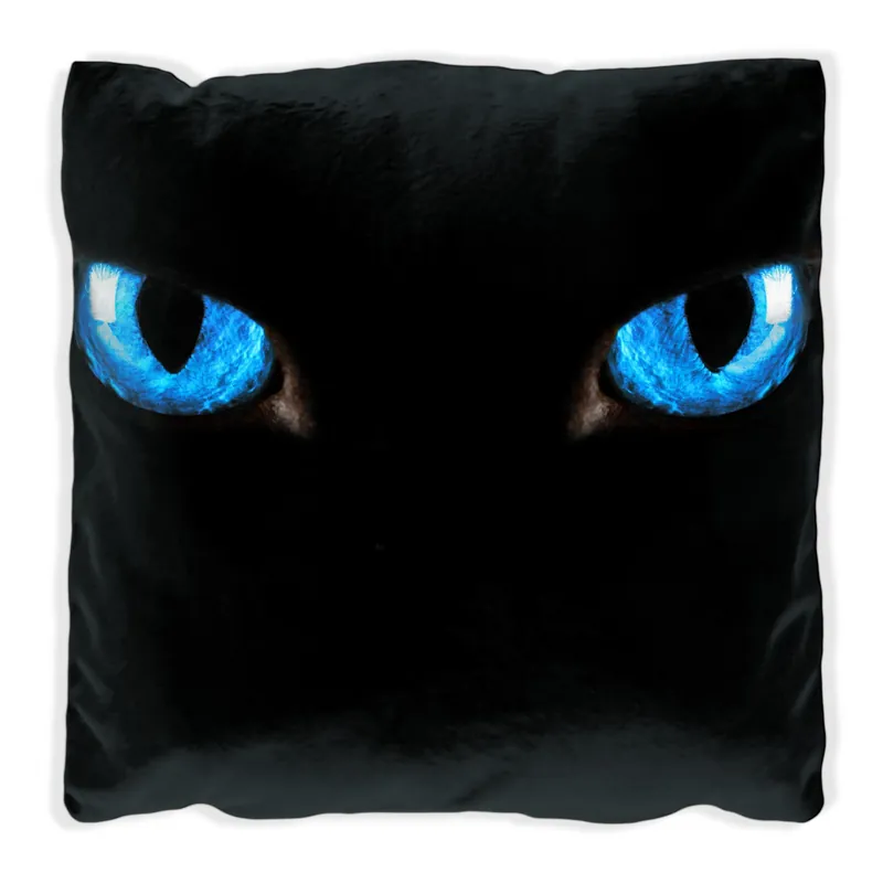 Direktkauf Kissen Blaue Katzenaugen bei Nacht 40 x 40 cm, schwarz