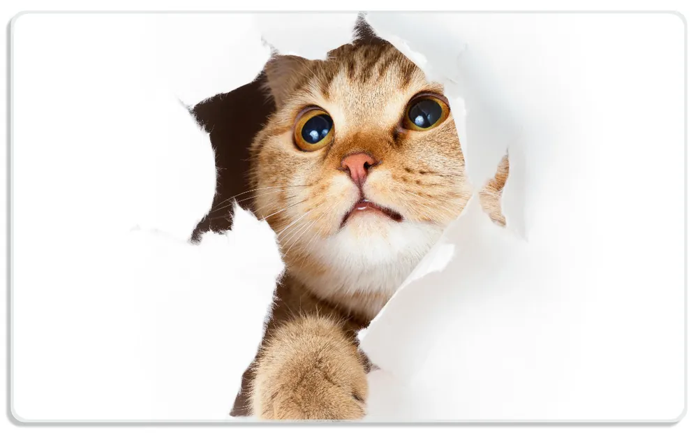 Beliebt Frühstücksbrettchen Katze mit Blick nach oben 6 Sück