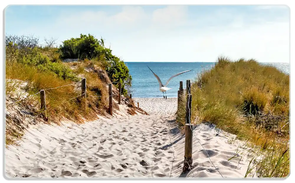 Frühstücksbrettchen Möwen auf dem Weg zum Strand 6 Sück Neuheit