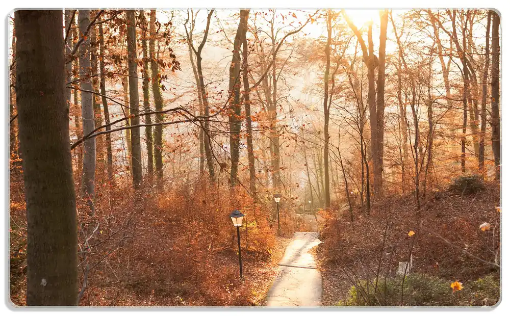 Frühstücksbrettchen Weg in den Sonnenuntergang 1 Stück Echt