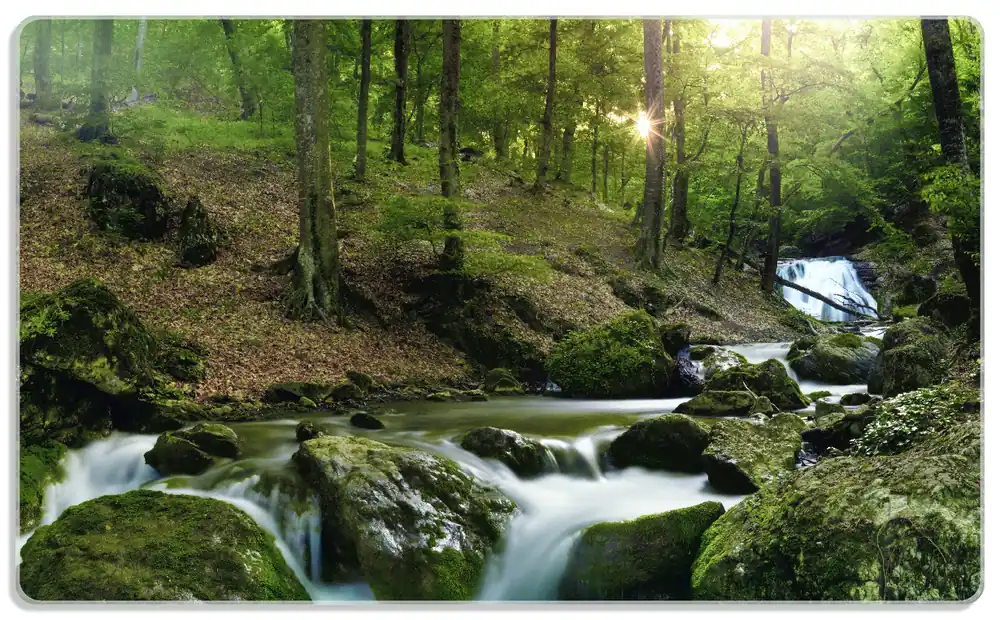 Echt Frühstücksbrettchen Fließender Bach im Wald bei Sonnenuntergang 2 Stück