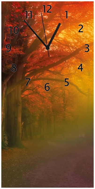Sichere Zahlung Wanduhr aus Acryl Bunter Herbst - Waldlandschaft bei Nebel in Regenbogenfarben 30 x 60 cm, mit schwarzen Zeigern