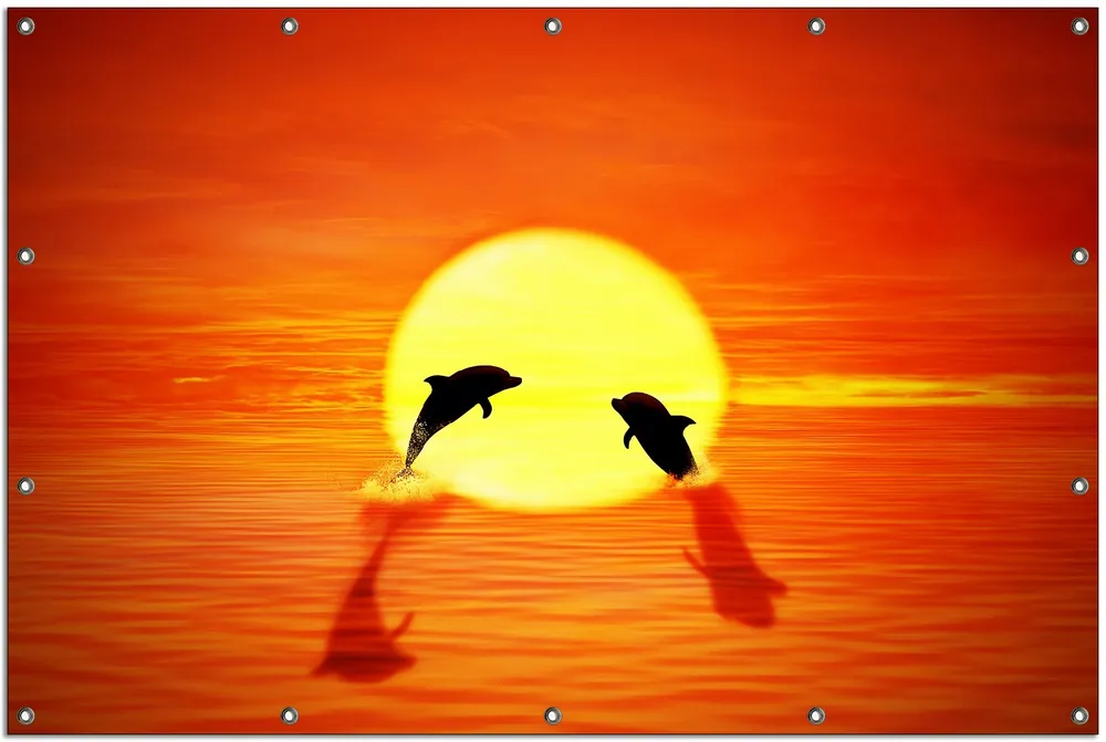 Gartenposter Delphine im Sonnenuntergang ca. 60 x 90 cm Billig