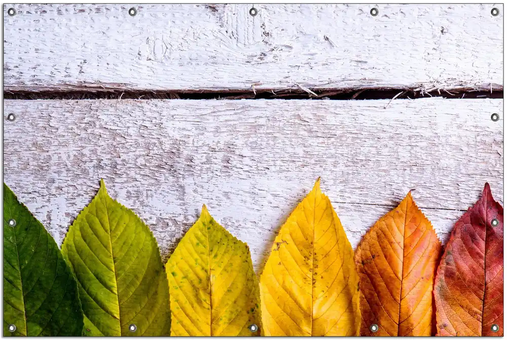 Geprüft Gartenposter Bunte Herbstblätter auf hellem Holz Rund. 60 cm Durchmesser