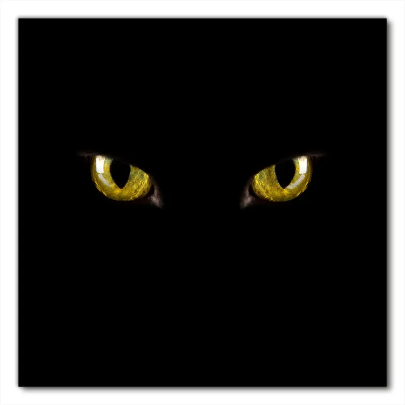Selbstklebende Möbelfolie Gelbe Katzenaugen bei Nacht 80 x 80 cm Angebot
