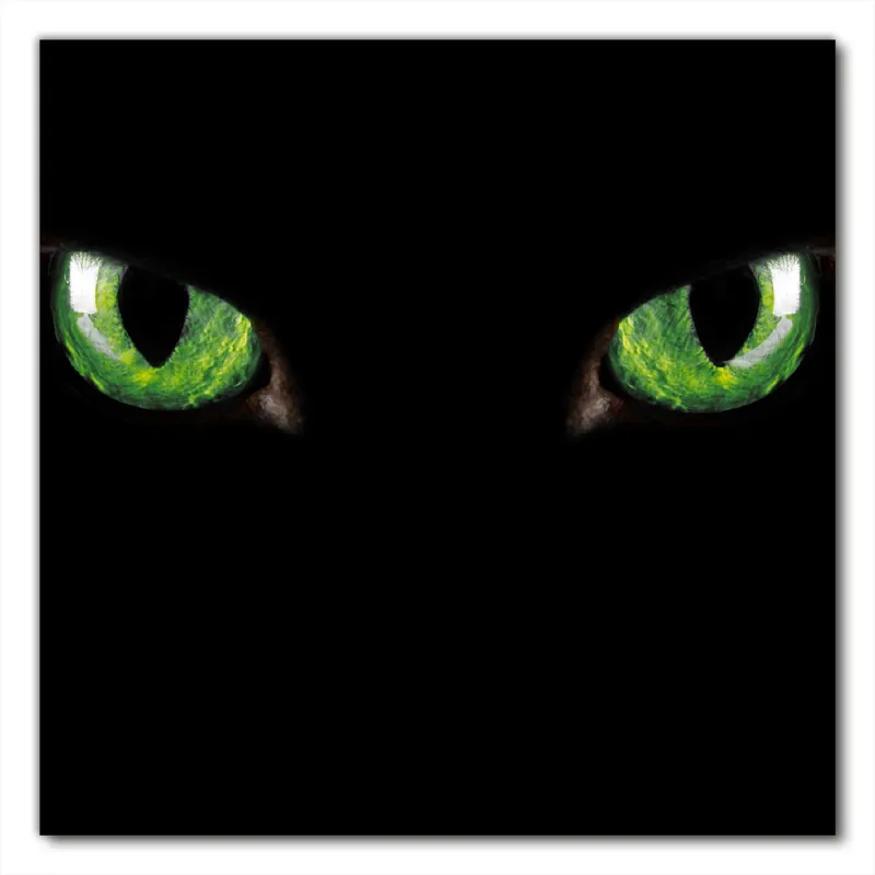 Top-Angebot Selbstklebende Möbelfolie Grüne Katzenaugen bei Nacht 70 x 70 cm
