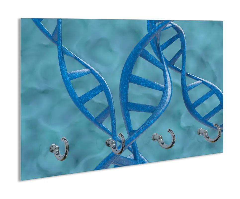 Schlüsselbrett DNA-Strang in blau auf türkisem Hintergrund Meistverkauft