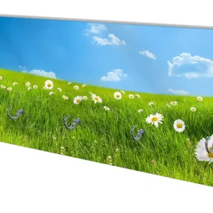 Begrenztes Angebot Wandgarderobe aus Glas Sommerwiese - Weiße Gänseblümchen vor blauem Himmel