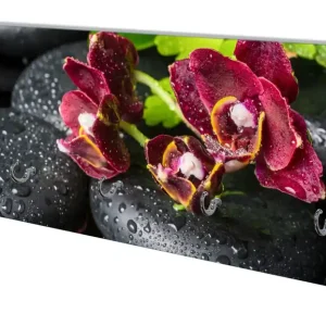 Ausverkauf Wandgarderobe aus Glas Dunkelrote Orchideen-Blüte auf schwarzen Steinen mit Regentropfen