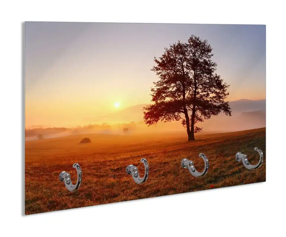 Neue Ware Schlüsselbrett Sonnenaufgang über der Wiese mit Nebel
