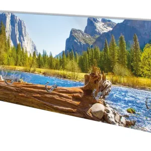 Angebot Wandgarderobe aus Glas Baumstamm im Fluss zwischen Bergen und Wäldern