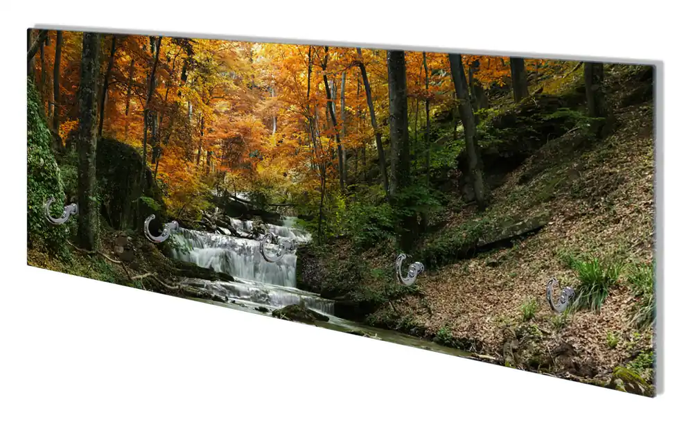 Wandgarderobe aus Glas Kleiner Bach über Steine im Herbstwald Schnäppchen