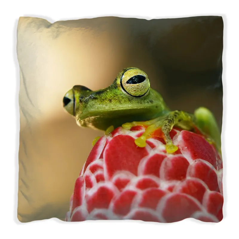 Kissen Frosch sitzt auf einer Knospe 60 x 60 cm, schwarz Nur Heute