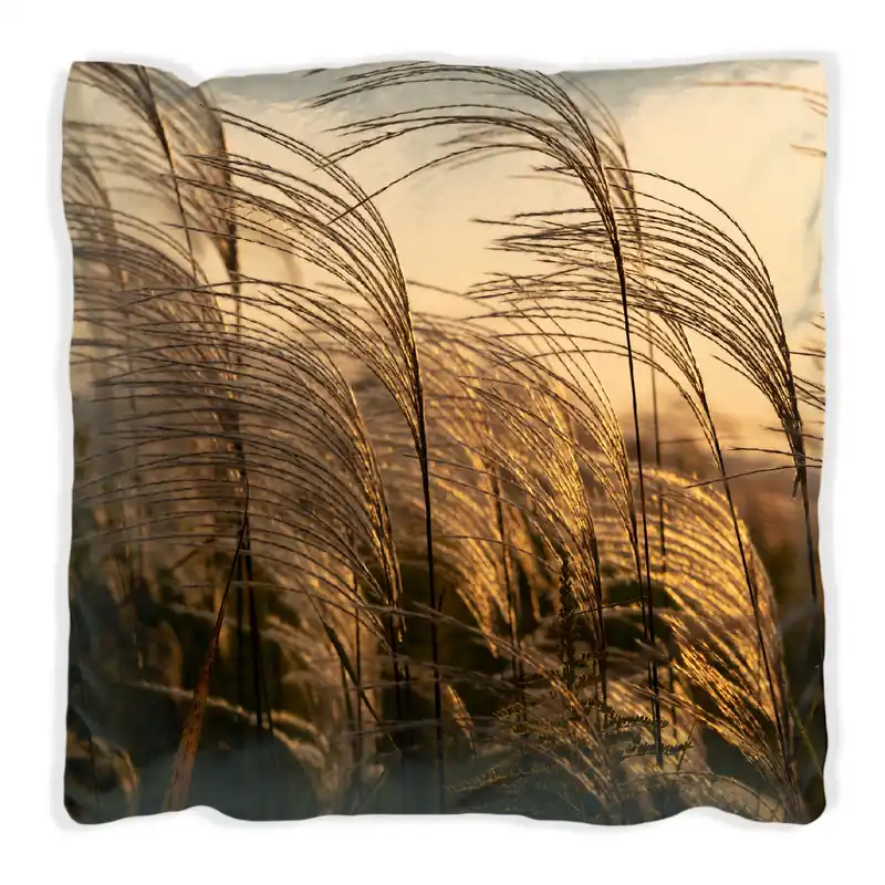 Kissen Schilf im Wind 60 x 60 cm, schwarz Preiswert
