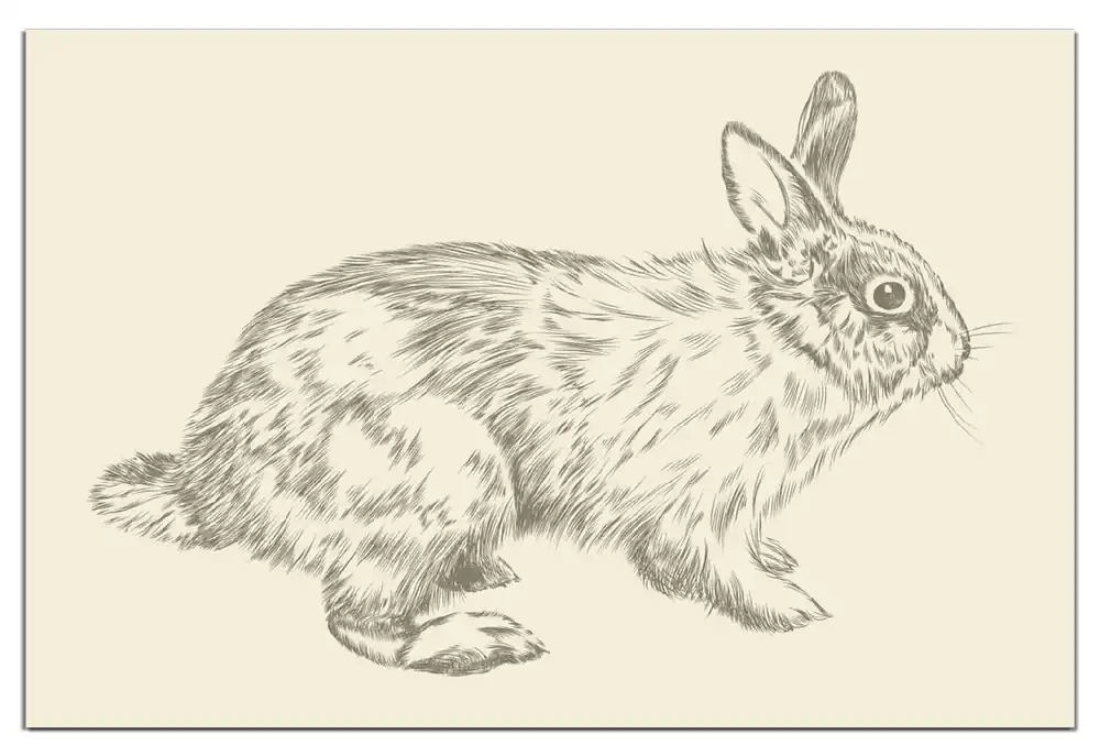 Wasserfestes Poster Hase als illustrierte Bleistiftzeichnung Rund, 60 cm Durchmesser, selbstklebende Folie mit Schutzlaminat Knallerangebot