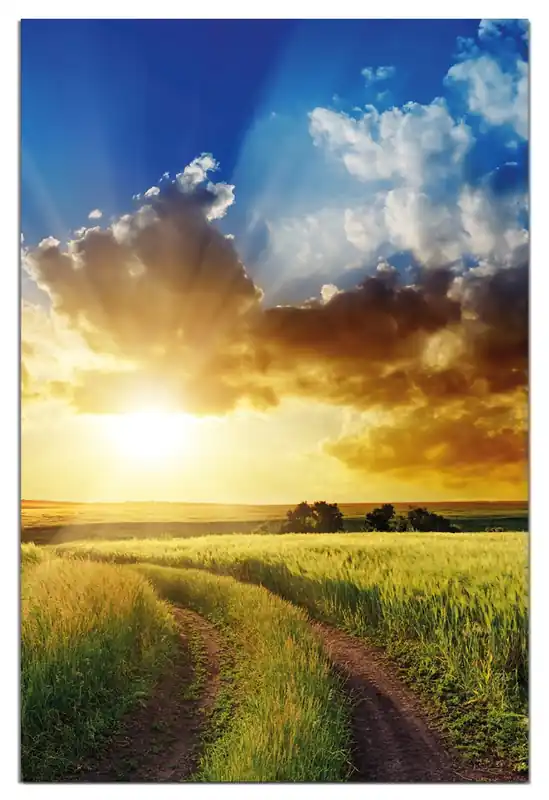 Wasserfestes Poster Feldweg in den Sonnenuntergang Rund, 60 cm Durchmesser, selbstklebende Folie mit Schutzlaminat Gratis Versand