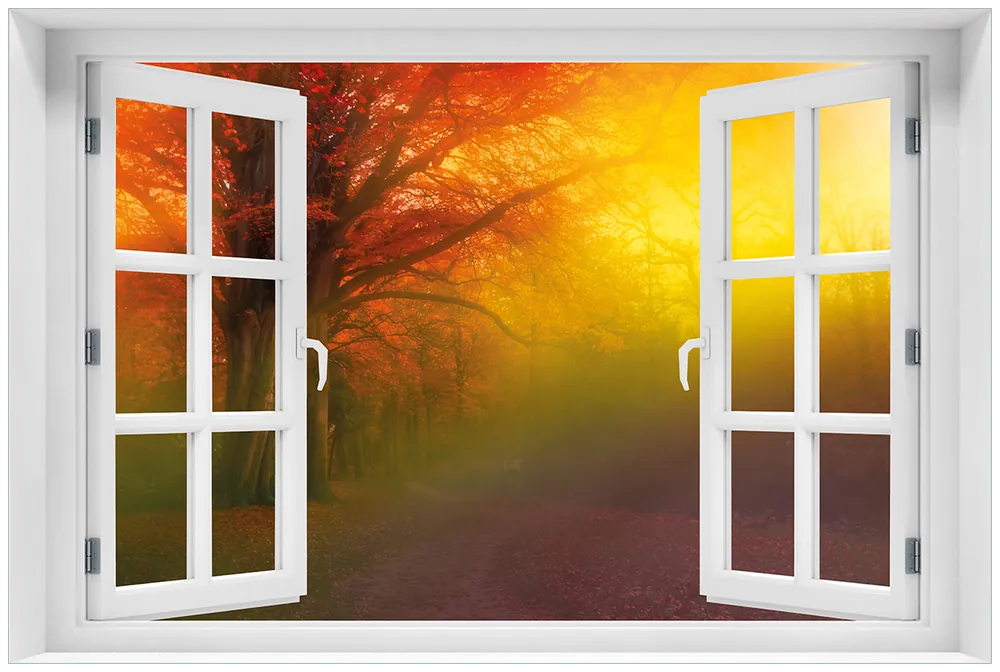 Acrylglasbild Bunter Herbst - Waldlandschaft bei Nebel in Regenbogenfarben 60 x 90 cm mit Fensterrahmen Top-Preis
