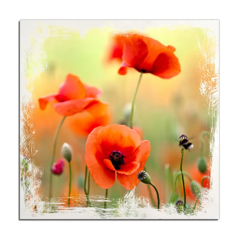 Neue Kollektion Holzbild Mohnblumenblüten 50 x 50 cm