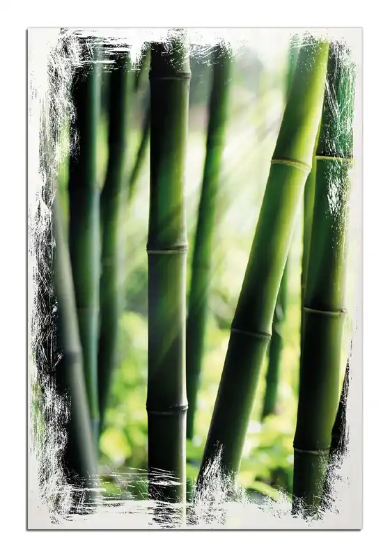 Holzbild Bambuswald und Sonnenstrahlen 50 x 50 cm Must-Have