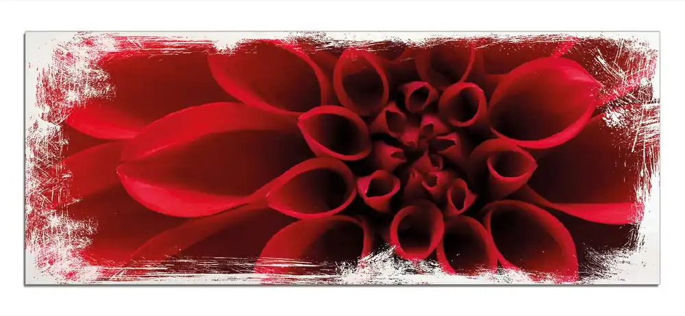 Preis Gesenkt Holzbild Rote Dahlienblüte in Nahaufnahme 50 x 125 cm