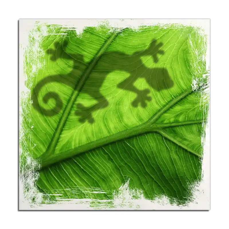 Holzbild Gecko Schatten auf grünem Blatt - Umriss 50 x 50 cm Sonderangebot
