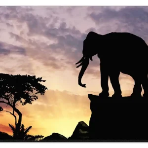 Billig Teppich Elefant vor Abendhimmel 50 x 70 cm