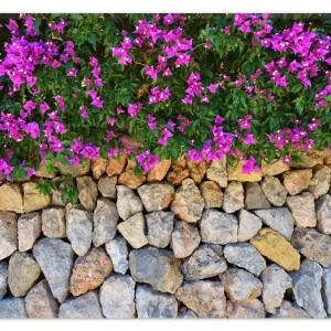 Heißes Angebot Teppich Mauer mit pinken Blüten 90 x 140 cm