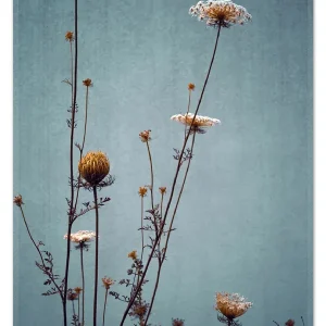 Beliebt Teppich Filigrane Wildblumen 90 x 140 cm