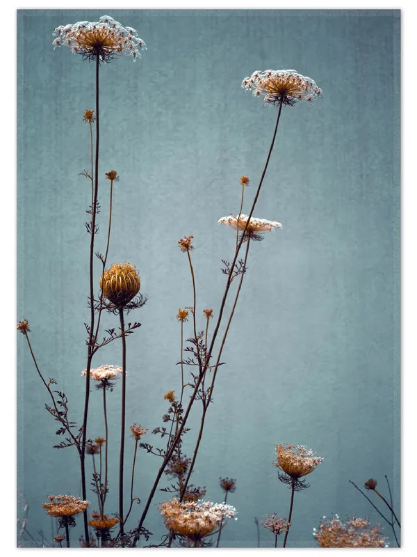 Beliebt Teppich Filigrane Wildblumen 90 x 140 cm