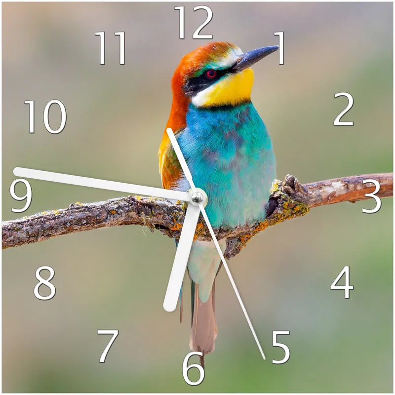 Saisonangebot Wanduhr aus Glas Vogel auf Ast mit schwarzen Zeigern, 30 x 60 cm