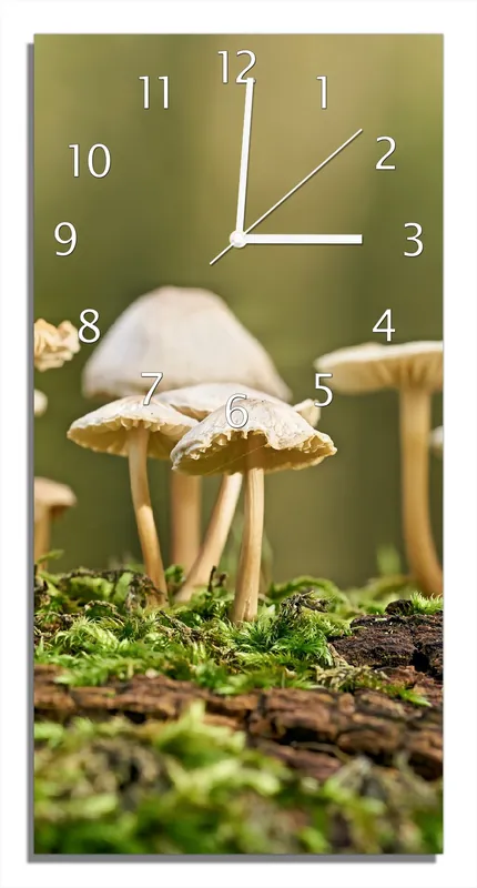 Angebot Wanduhr aus Glas Pilze auf Baumstamm mit weißen Zeigern, 20 x 20 cm