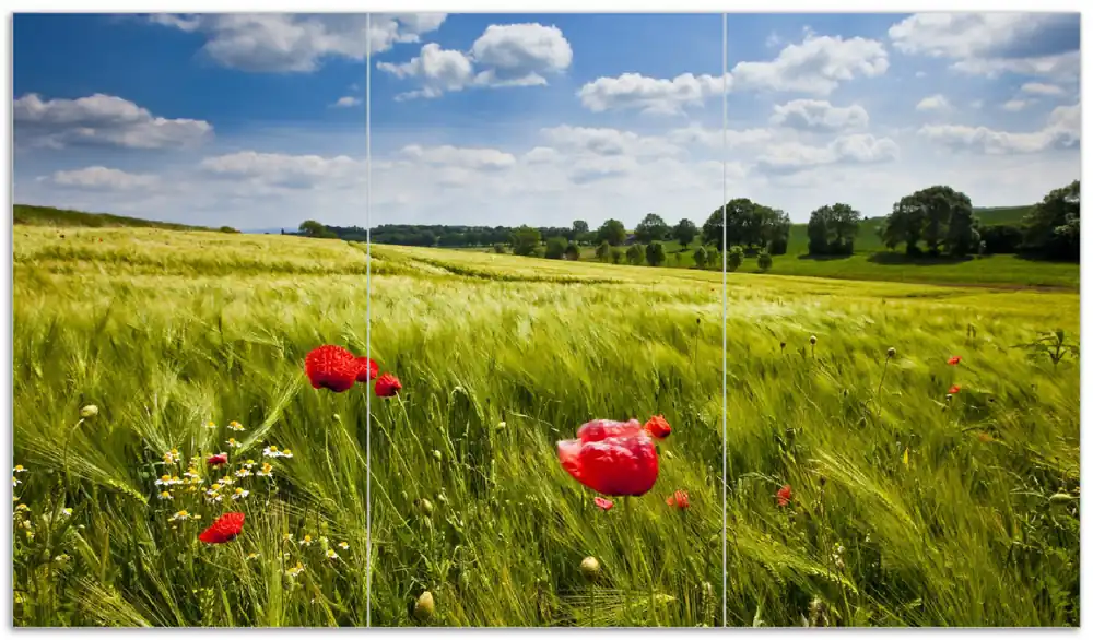 Herdabdeckplatte Mohnblumenwiese auf grüner Wiese unter blauem Himmel Breite 90 cm x Höhe 52 cm. 1-teilig, 5 mm hohe Noppen Expressversand