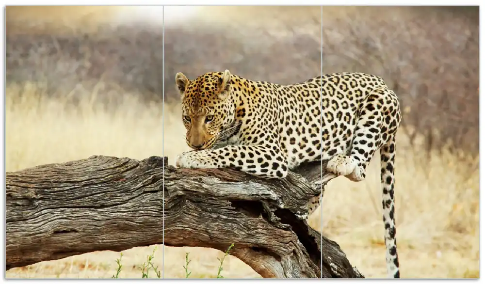 Herdabdeckplatte Leopard auf Baumstamm in Afrika Breite 90 cm x Höhe 52 cm. 1-teilig, 13 mm hohe Noppen Schneller Versand