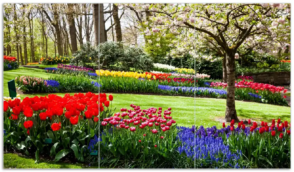 Herdabdeckplatte Bunte Blumen und Kirsch-Baum im Park blühen im Frühling Breite 60 cm x Höhe 52 cm. 2-teilig, 8 mm hohe Noppen Kracherpreis