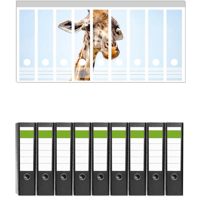 Angebot Ordnerrücken Sticker Nahaufnahme einer Giraffe für breite Ordner, 6 Sticker